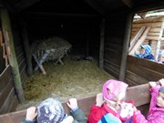 Výlet do svíčkárny Šestajovice